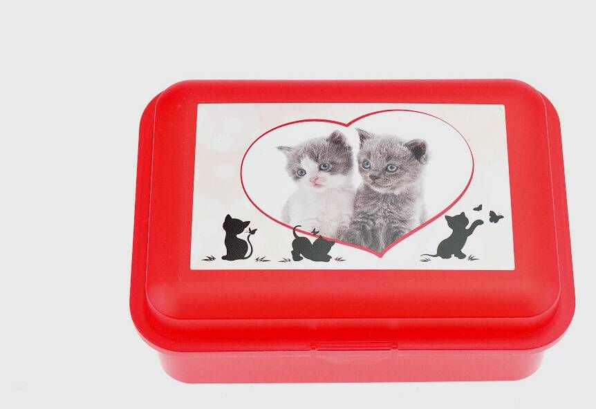svačinový box koťata červený 18 x 13 x 7 cm Tvar