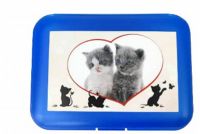 svačinový box koťata modrý 18 x 13 x 7 cm