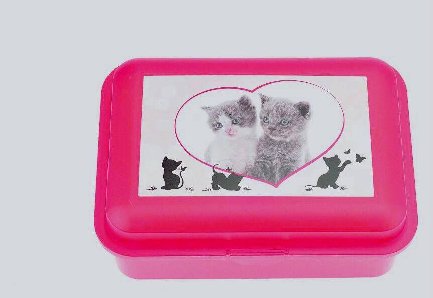 svačinový box koťata růžový 18 x 13 x 7 cm Tvar