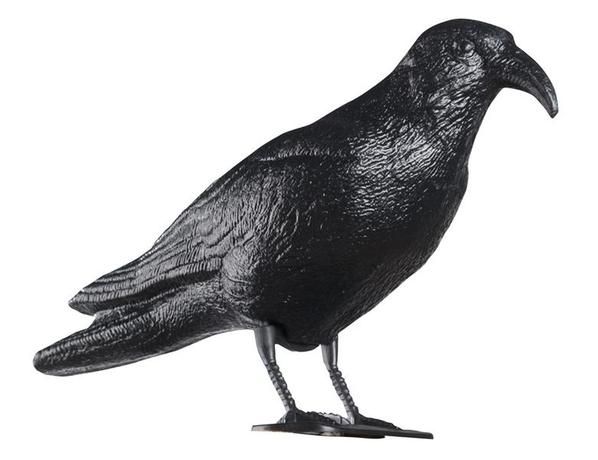 Odpuzovač holubů - maketa havrana 40cm Toro